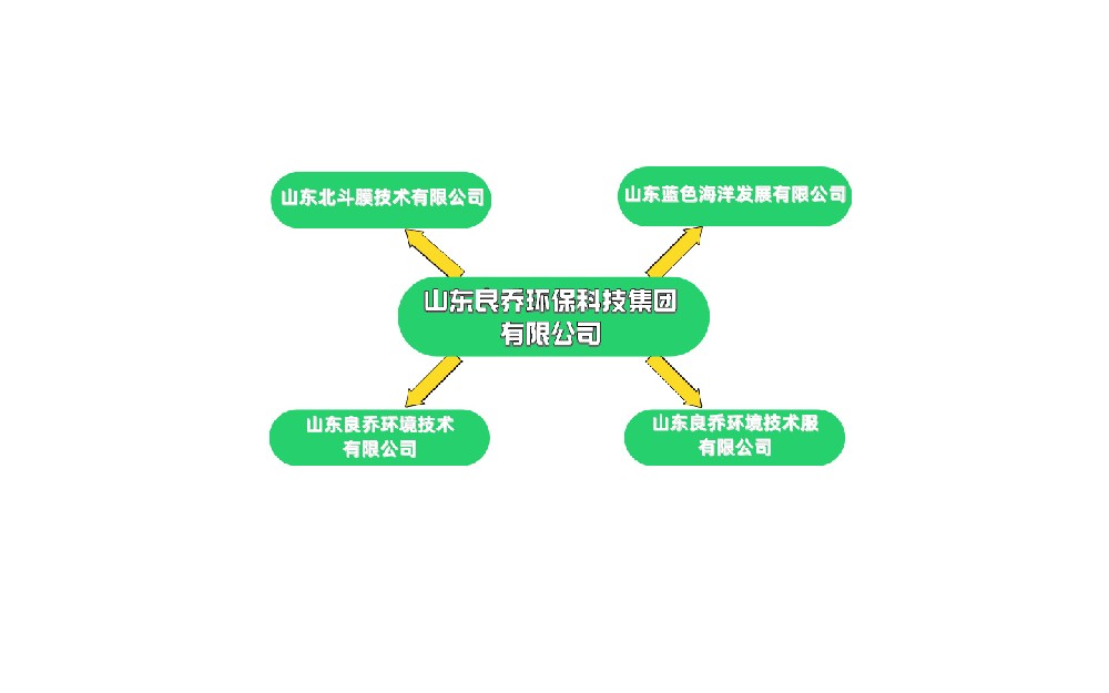 集团关系.jpg